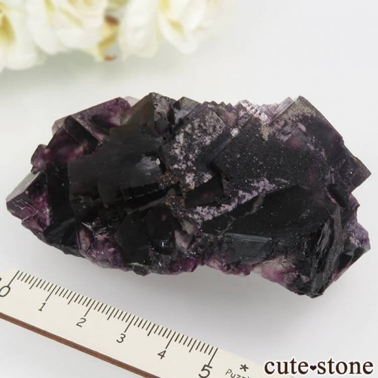 ʥߥӥ Okorusu Mine ѡץե饤Ȥθ No.16μ̿6 cute stone