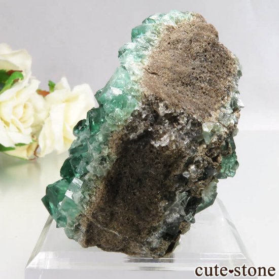 󥰥 Diana Mariaۻ ָե饤Ȥդ No.13μ̿2 cute stone