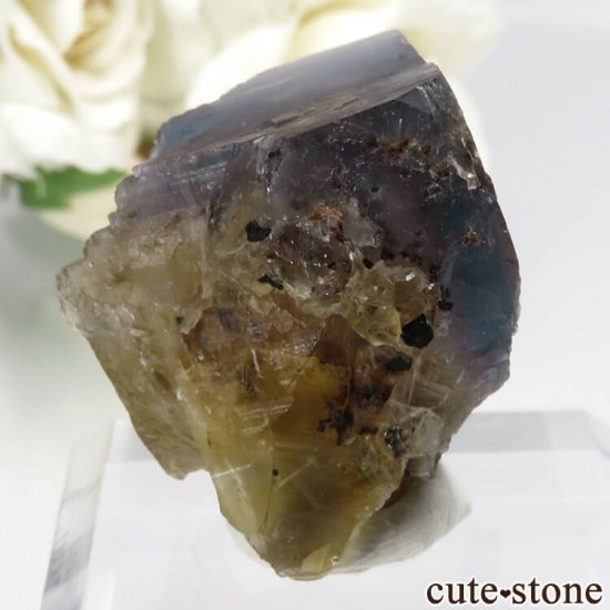 ե Valzergues ֥롼ե饤Ȥη뾽ʸСNo.12μ̿0 cute stone