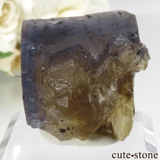 ե Valzergues ֥롼ե饤Ȥη뾽ʸСNo.12μ̿1 cute stone