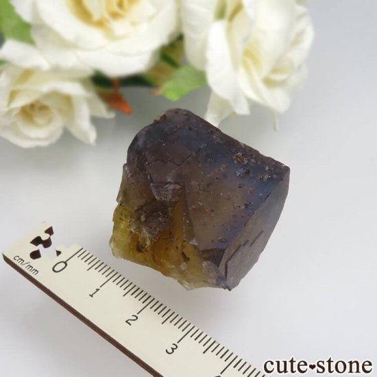 ե Valzergues ֥롼ե饤Ȥη뾽ʸСNo.12μ̿4 cute stone