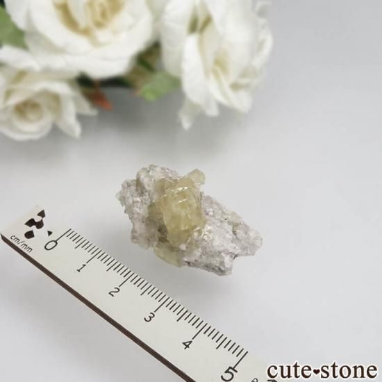 ե Giromagny ե饤Ȥդ No.3μ̿1 cute stone