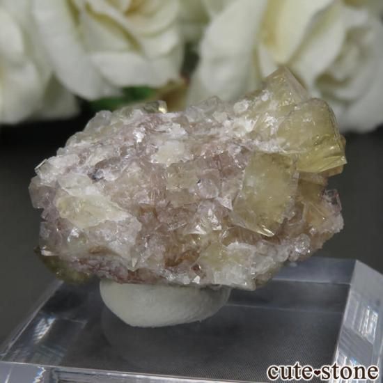 ե Giromagny ե饤Ȥդ No.6μ̿0 cute stone