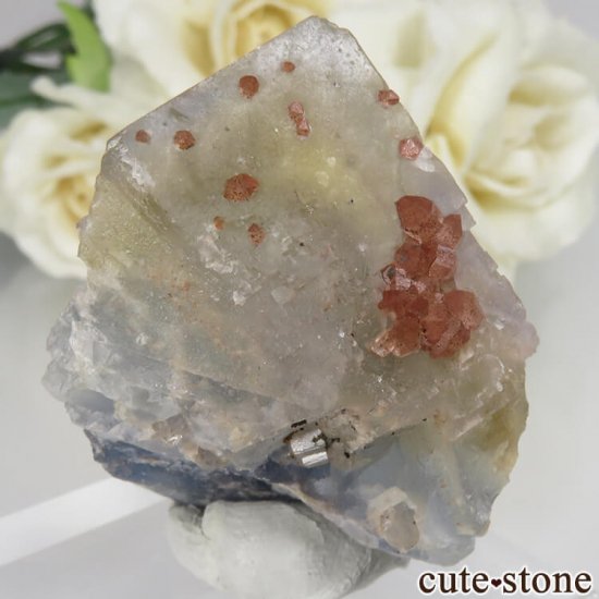 ե Baerenbach ߥ֥롼ե饤ȡĤθ No.1μ̿0 cute stone