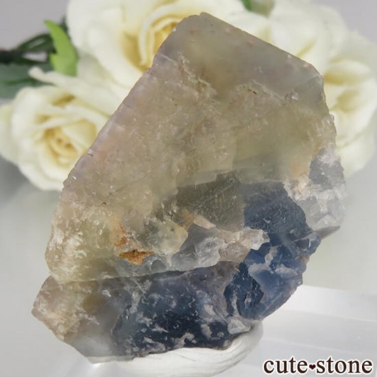 ե Baerenbach ߥ֥롼ե饤ȡĤθ No.1μ̿1 cute stone