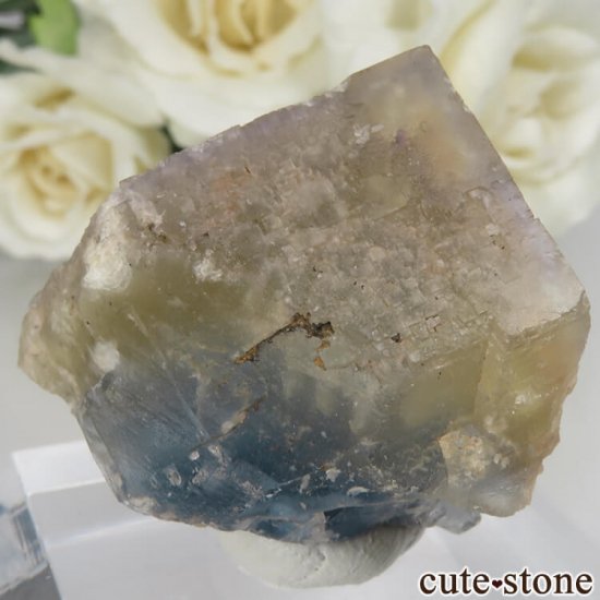 ե Baerenbach ߥ֥롼ե饤Ȥθ No.2μ̿0 cute stone