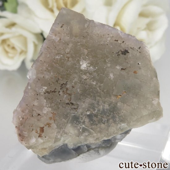 ե Baerenbach ߥ֥롼ե饤Ȥθ No.2μ̿1 cute stone