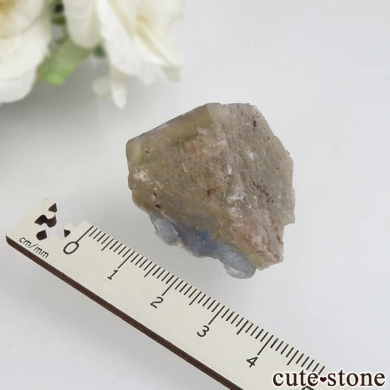 ե Baerenbach ߥ֥롼ե饤Ȥθ No.2μ̿2 cute stone
