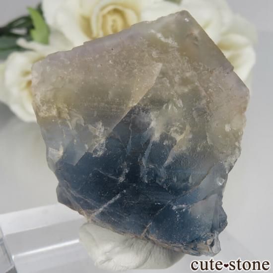 ե Baerenbach ߥ֥롼ե饤Ȥθ No.3μ̿0 cute stone