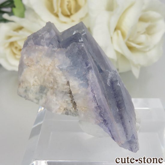 ե Baerenbach ֥롼ե饤Ȥθ No.4μ̿0 cute stone