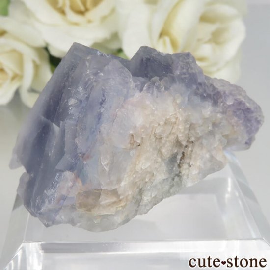 ե Baerenbach ֥롼ե饤Ȥθ No.4μ̿1 cute stone