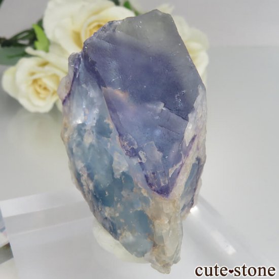 ե Baerenbach ֥롼ե饤Ȥθ No.5μ̿0 cute stone