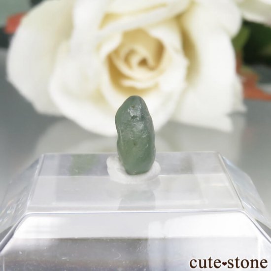 ꥫ 󥿥ʽ եʥ󥿥ʥեˤθ No.1μ̿0 cute stone