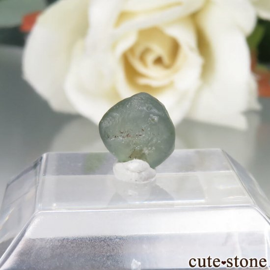 ꥫ 󥿥ʽ եʥ󥿥ʥեˤθ No.1μ̿1 cute stone