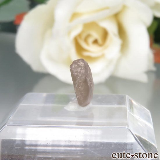 ꥫ 󥿥ʽ եʥ󥿥ʥեˤθ No.3μ̿0 cute stone