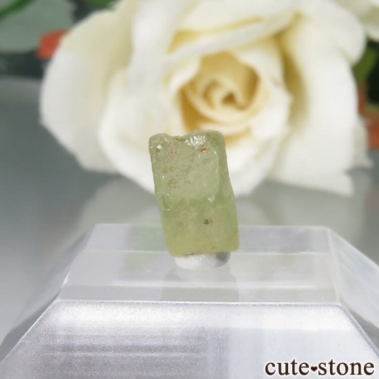 ꥫ 󥿥ʽ եʥ󥿥ʥեˤθ No.4μ̿0 cute stone
