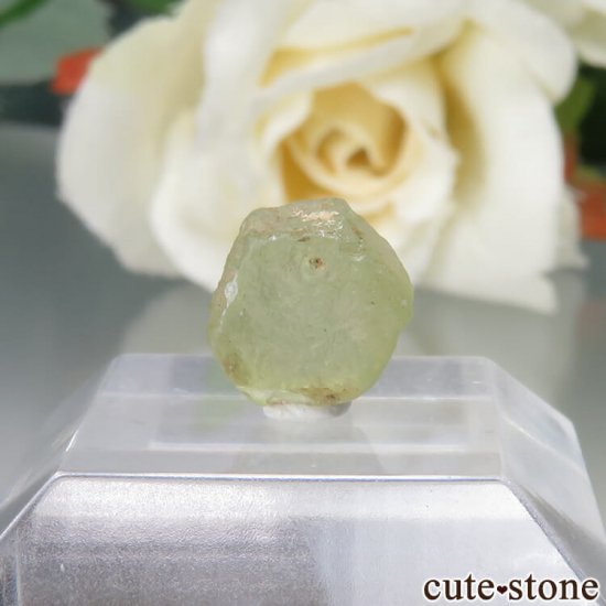 ꥫ 󥿥ʽ եʥ󥿥ʥեˤθ No.4μ̿1 cute stone