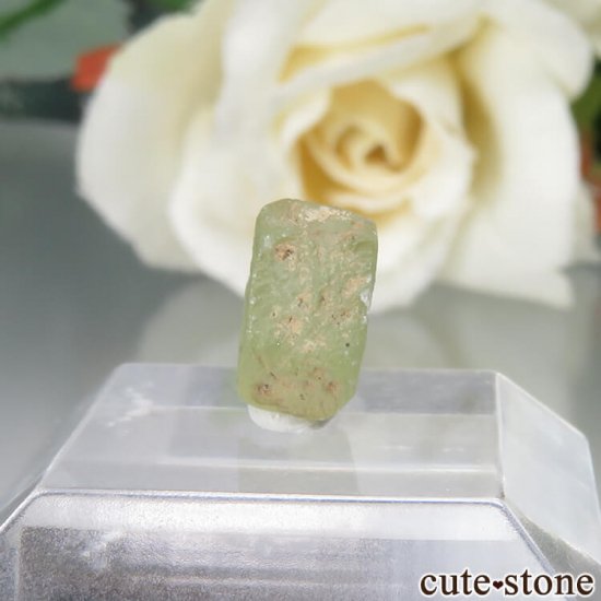 ꥫ 󥿥ʽ եʥ󥿥ʥեˤθ No.4μ̿2 cute stone