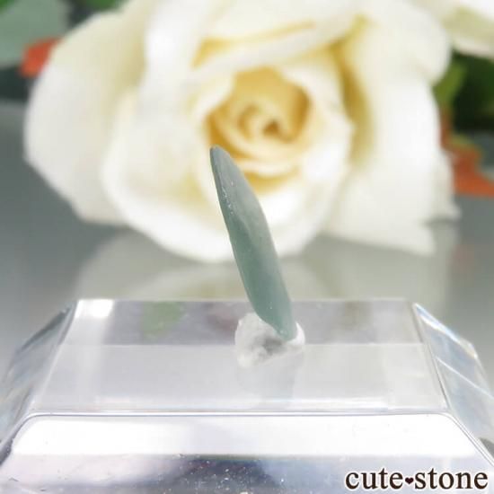 ꥫ 󥿥ʽ եʥ󥿥ʥեˤθ No.5μ̿0 cute stone