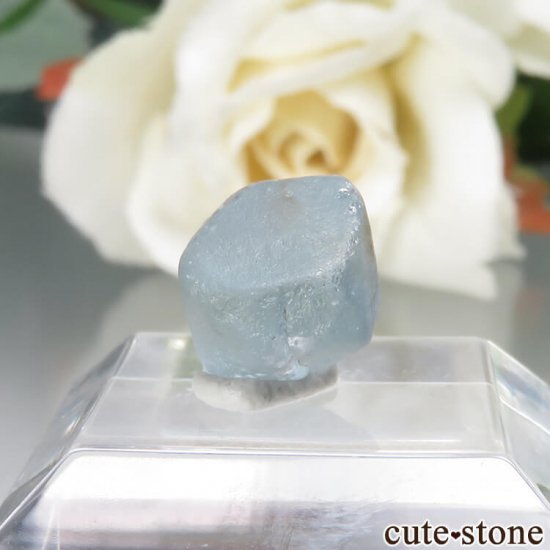 ꥫ 󥿥ʽ եʥ󥿥ʥեˤθ No.6μ̿0 cute stone