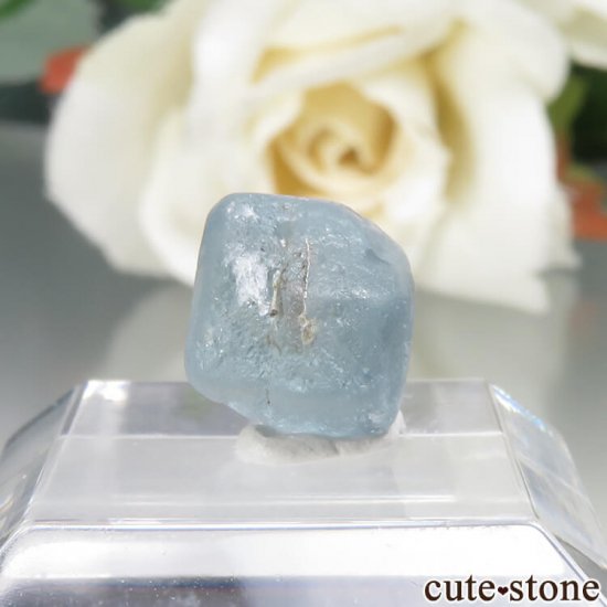 ꥫ 󥿥ʽ եʥ󥿥ʥեˤθ No.6μ̿2 cute stone