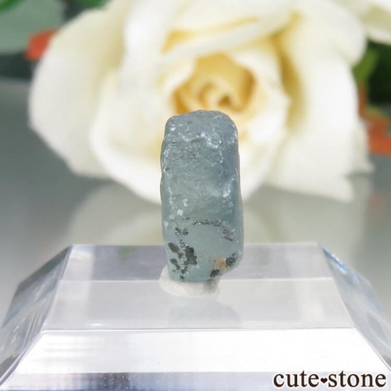 ꥫ 󥿥ʽ եʥ󥿥ʥեˤθ No.7μ̿0 cute stone