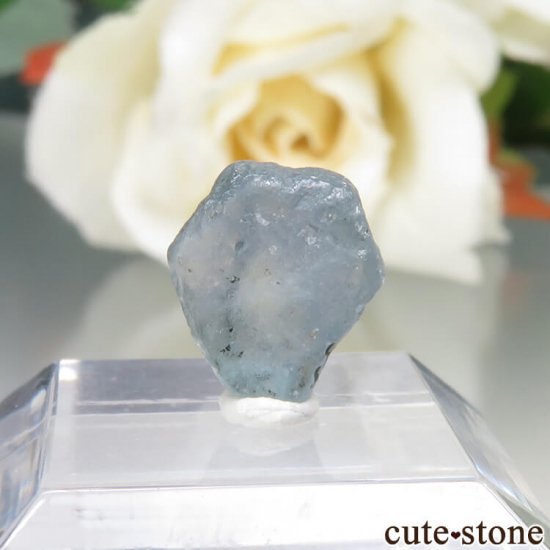 ꥫ 󥿥ʽ եʥ󥿥ʥեˤθ No.7μ̿1 cute stone