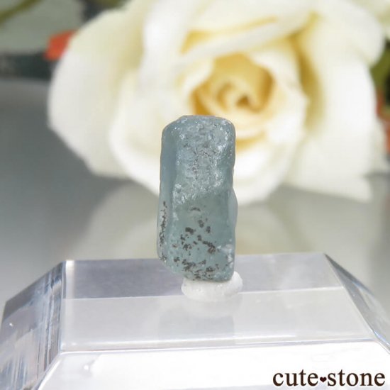 ꥫ 󥿥ʽ եʥ󥿥ʥեˤθ No.7μ̿2 cute stone