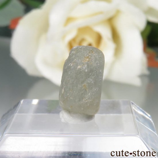 ꥫ 󥿥ʽ եʥ󥿥ʥեˤθ No.8μ̿0 cute stone