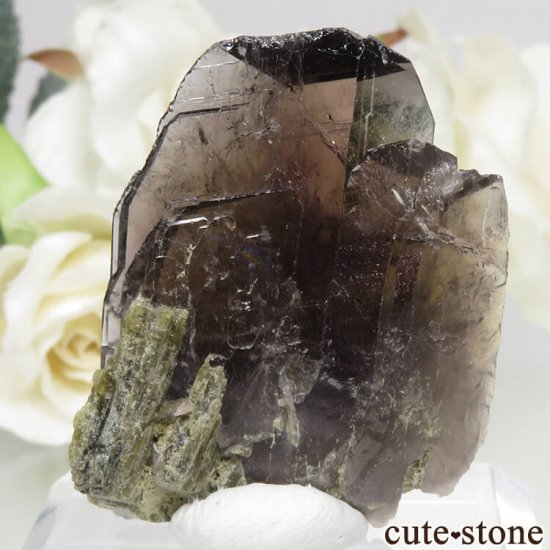 ѥ Tormiq valley ʥȡԥɡȤθ No.4μ̿0 cute stone