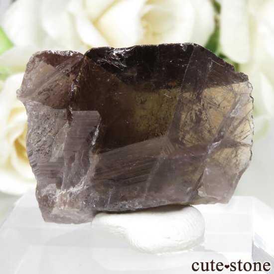 ѥ Tormiq valley ʥȤθ No.6μ̿0 cute stone