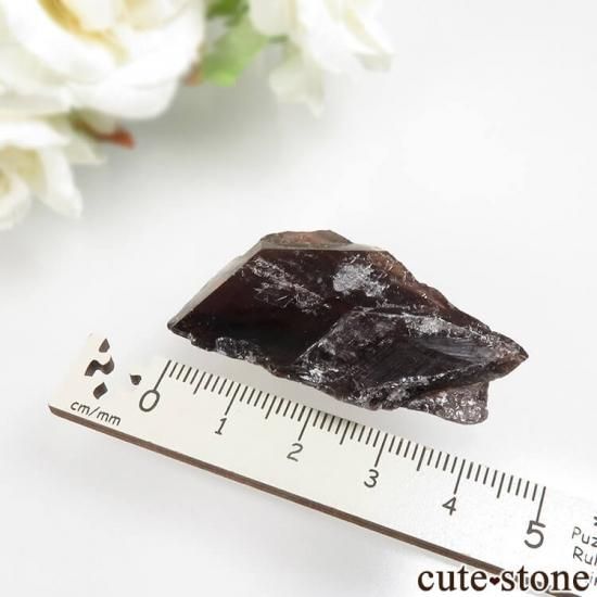 ѥ Tormiq valley ʥȤθ No.8μ̿1 cute stone