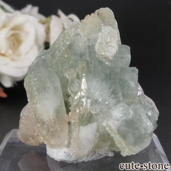  ޥɥʥ ߥ꡼󥢥ݥե饤&ƥХȤη뾽ʸСNo.7μ̿1 cute stone