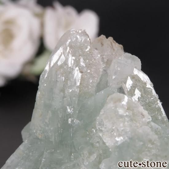  ޥɥʥ ߥ꡼󥢥ݥե饤&ƥХȤη뾽ʸСNo.7μ̿3 cute stone