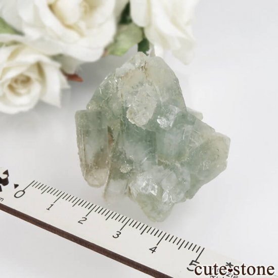  ޥɥʥ ߥ꡼󥢥ݥե饤&ƥХȤη뾽ʸСNo.7μ̿4 cute stone