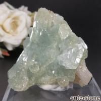  ޥɥʥ ߥ꡼󥢥ݥե饤&ƥХȤη뾽ʸСNo.7β