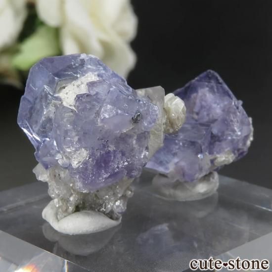 䥪󥷥 ե饤ȤΥå No.49μ̿1 cute stone