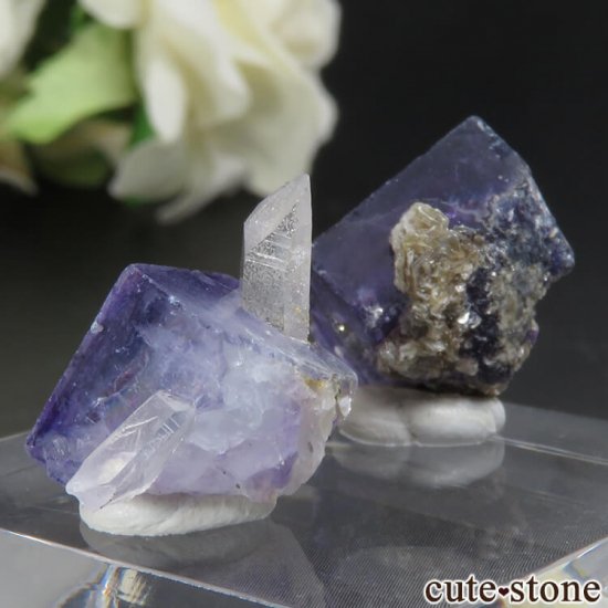 䥪󥷥 ե饤ȤΥå No.50μ̿1 cute stone