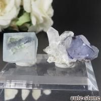 䥪󥷥 ե饤ȤΥå No.51β