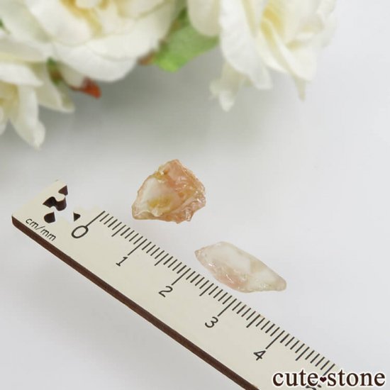 쥴󥵥󥹥ȡθХå No.12μ̿0 cute stone