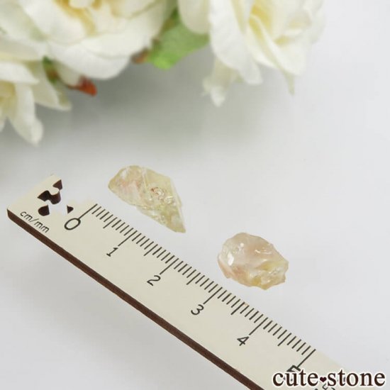 쥴󥵥󥹥ȡθХå No.13μ̿0 cute stone