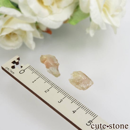 쥴󥵥󥹥ȡθХå No.15μ̿0 cute stone