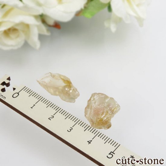 쥴󥵥󥹥ȡθХå No.18μ̿0 cute stone