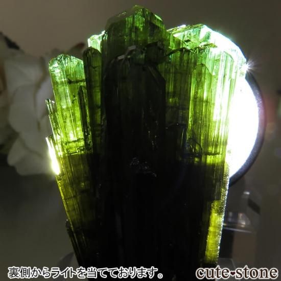 ե˥ ̡ꥹ ȥޥθ No.1μ̿3 cute stone