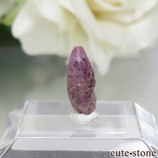 Ratnapura ѡץԥ󥯥եη뾽 No.12μ̿0 cute stone