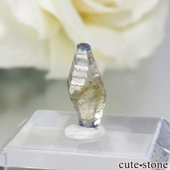  Ratnapura եη뾽 No.18μ̿1 cute stone