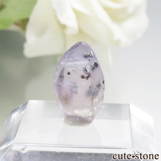  Ratnapura ѡץ륵եη뾽 No.24μ̿1 cute stone