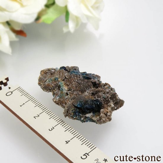 ʥ 桼 ԥåɥ꡼ 饺饤(ŷ)Ĥդ뾽ʸСNo.24μ̿3 cute stone