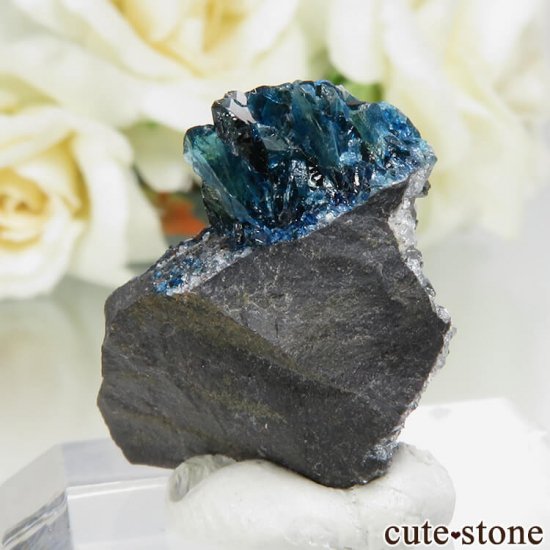 ʥ 桼 ԥåɥ꡼ 饺饤(ŷ)դ뾽ʸСNo.25μ̿1 cute stone