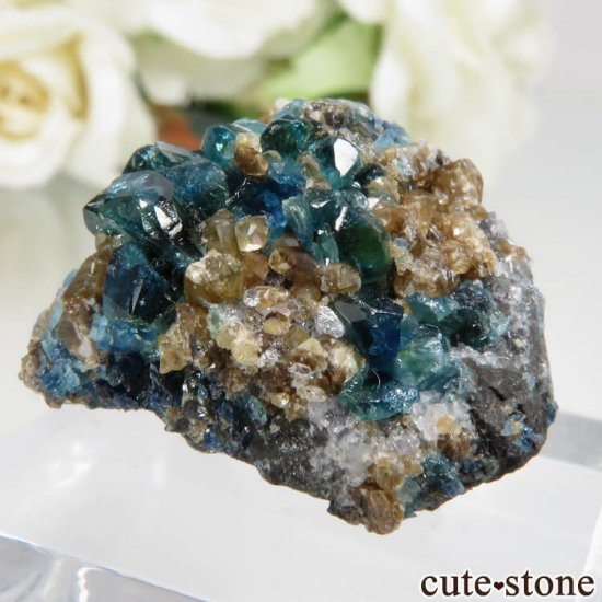 ʥ 桼 ԥåɥ꡼ 饺饤(ŷ)ǥ饤Ȥդ뾽ʸСNo.26μ̿1 cute stone